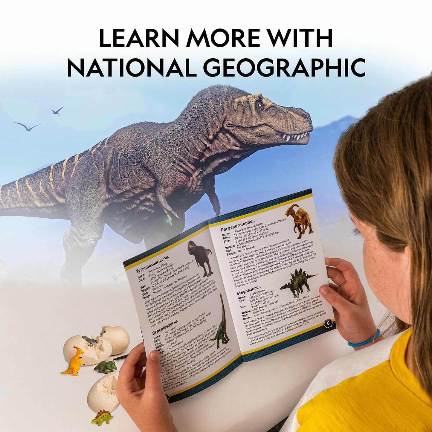 National Geographic Dino Egg Dig Kits